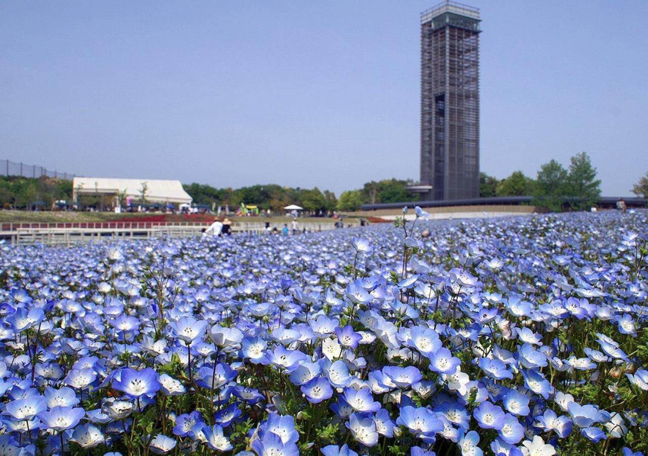 Hotel Wellseason Hamanako Hamamatsu Zewnętrze zdjęcie
